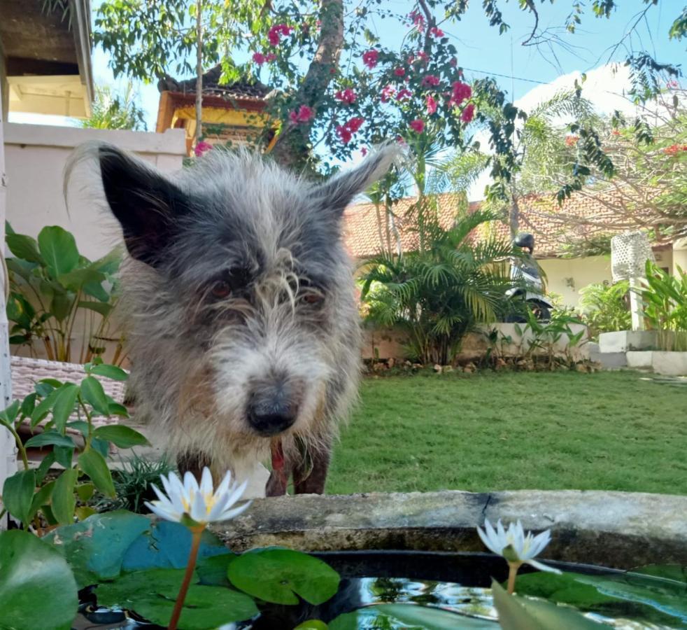 Villa Ricca Eco Lodge Uluwatu Kültér fotó